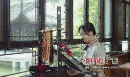 泥潭老哥爆料视频播放,揭秘幕后真相，带你走进事件核心